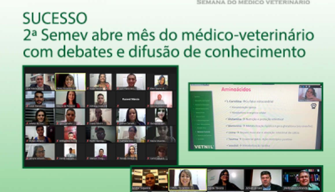 2ª semev card - resultado