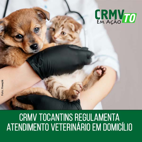 CRMV Tocantins regulamenta atendimento veterinário em domicílio