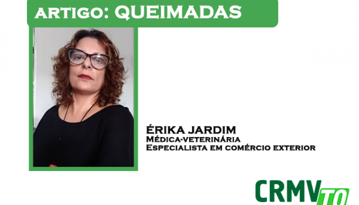 artigo QUEIMADAS ÉRIKA