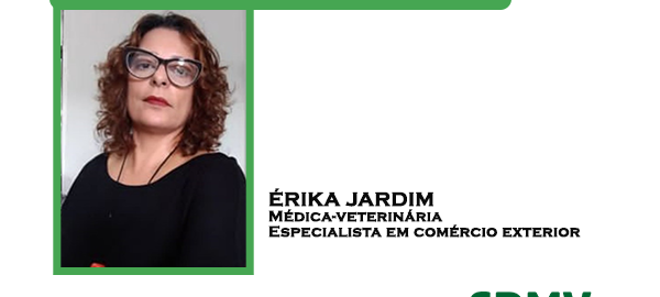 artigo QUEIMADAS ÉRIKA