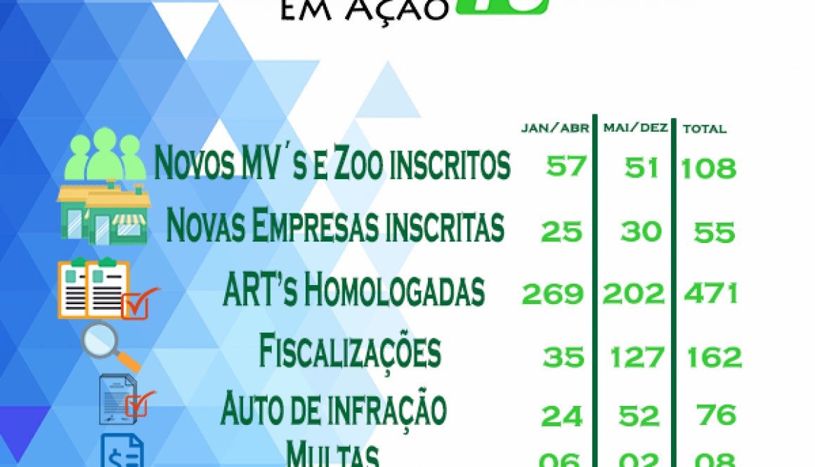 balanço ações 2020 pequeno