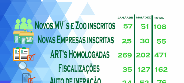 balanço ações 2020 pequeno