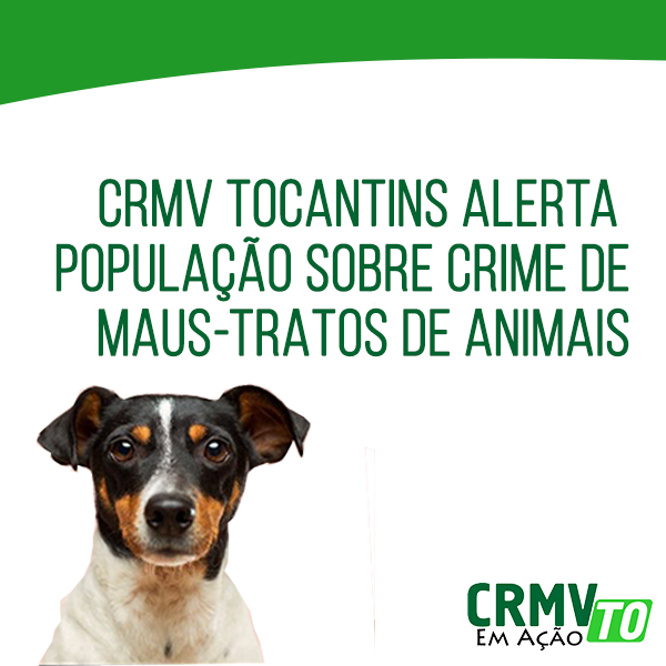 crmv alerta crime de maus tratos