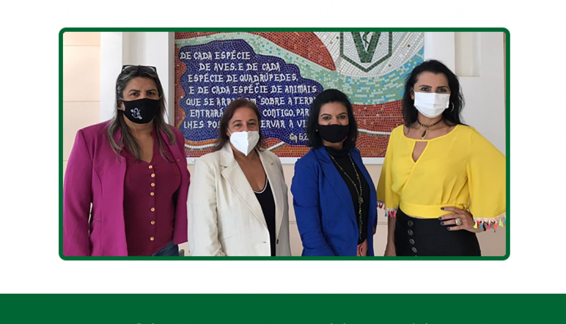 Treinamento no CFMV Diretoria no CFMV