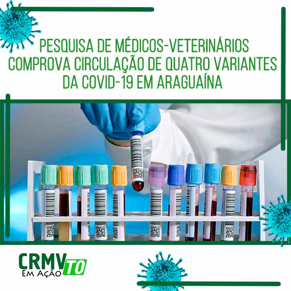 estudo variantes covid