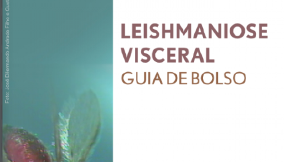 guia de bolso