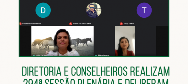plenaria 294