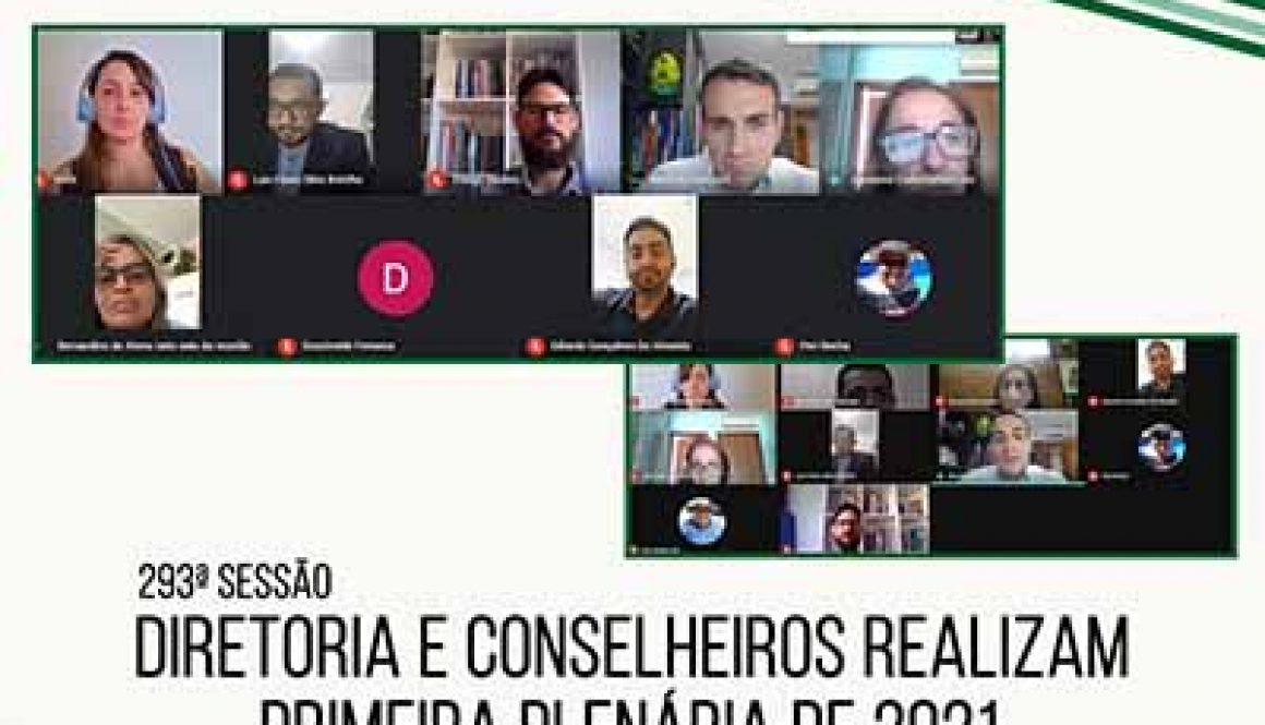 primeira plenaria de 2020- 293