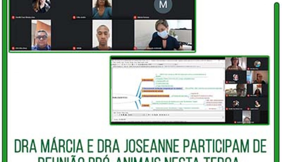 reunião pró animais 10.02