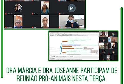 reunião pró animais 10.02
