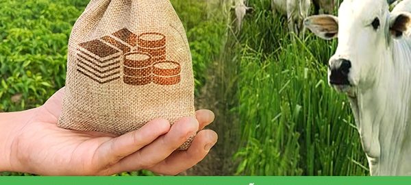 CRMV comunica bancos sobre capacidade de mv e zoo de ser RT -jpg
