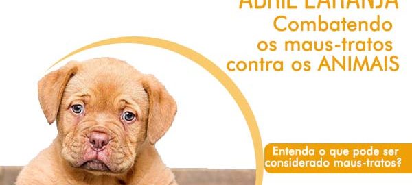 abril laranja contra maus-tratos 1