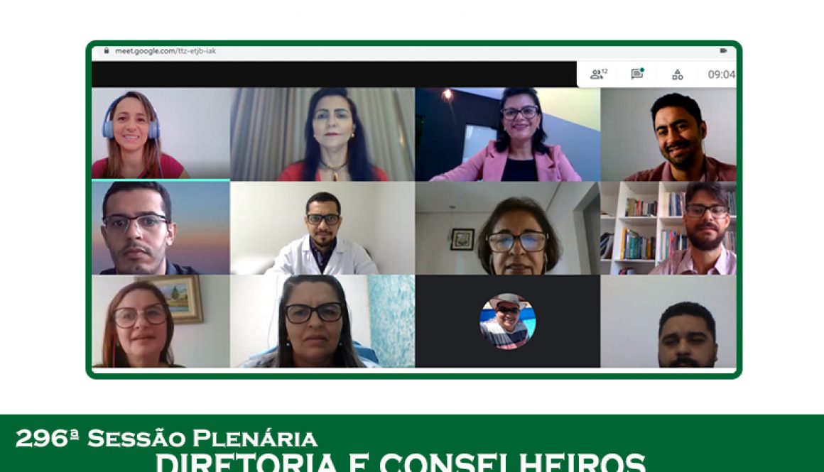 plenaria 296 - 30.04