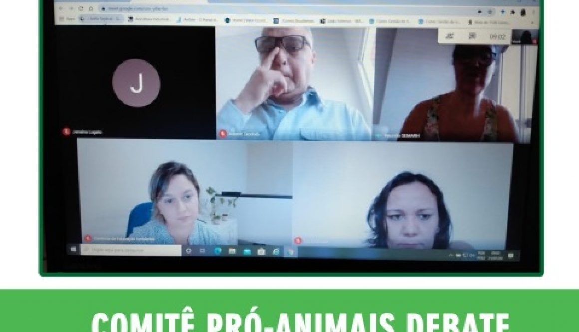 reunião comitê pro animais - 21 (Pequeno)jpg