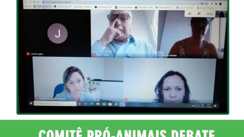 reunião comitê pro animais - 21 (Pequeno)jpg
