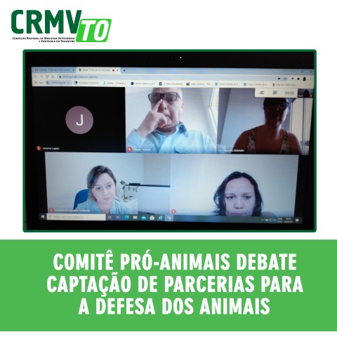 reunião comitê pro animais - 21 (Pequeno)jpg