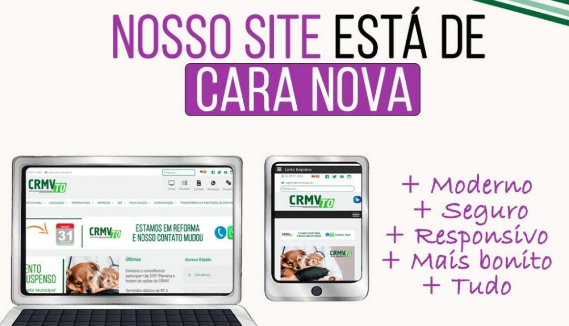 site novo
