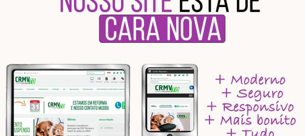 site novo