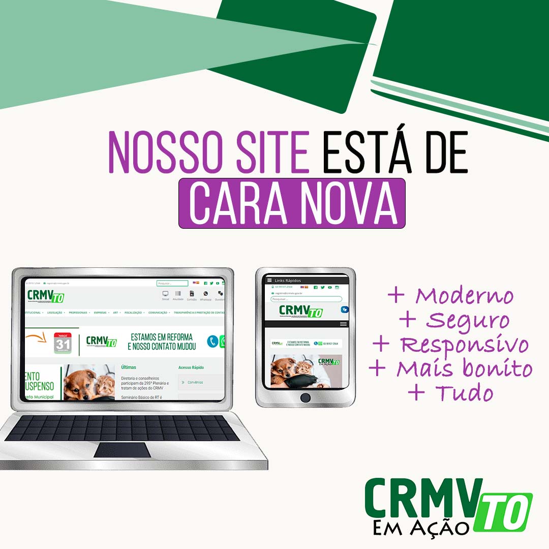 site novo