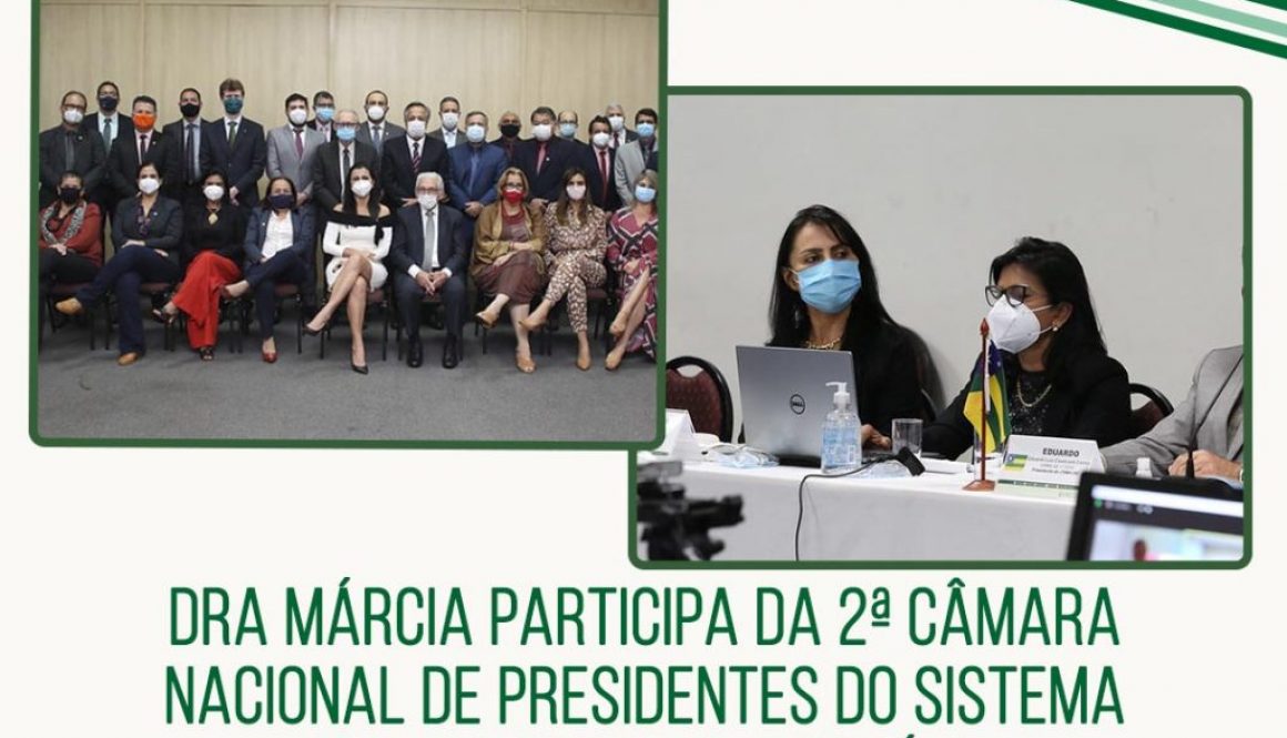 dra márcia participa da 2ª câmara de presidentes