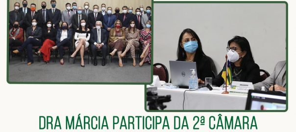 dra márcia participa da 2ª câmara de presidentes