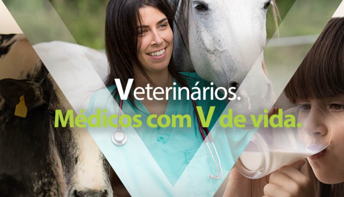 Banner_640x640 com logo crmv