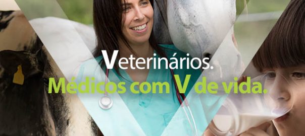 Banner_640x640 com logo crmv