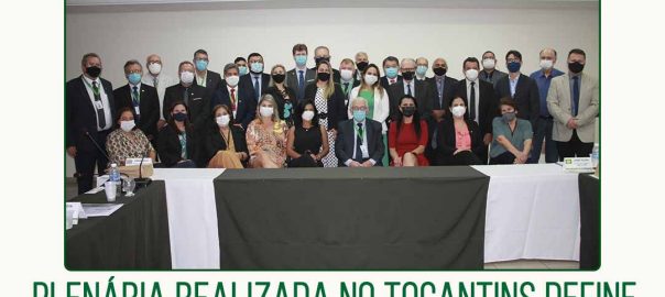 plenária realizada no Tocantins define campeões dos prêmios Dacorso e Octávio Domingues - 23.09