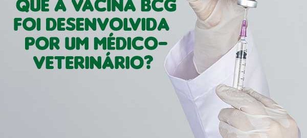 vacina bcg
