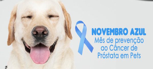 novembro azul