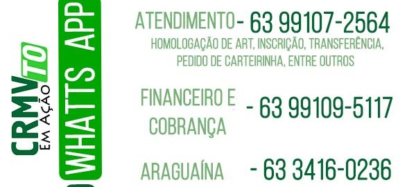 NOVO CONTATO NO WHATTS