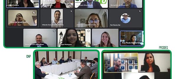 Reunião da CNP, da Comissão do Prodes e Plenária movimentam semana - 25.03