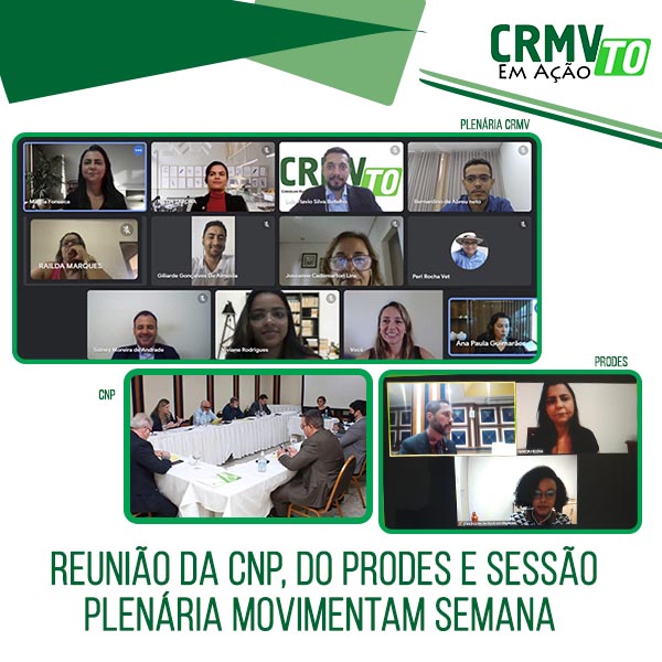 Reunião da CNP, da Comissão do Prodes e Plenária movimentam semana - 25.03