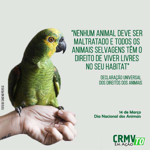 dia nacional dos animais - 14.03