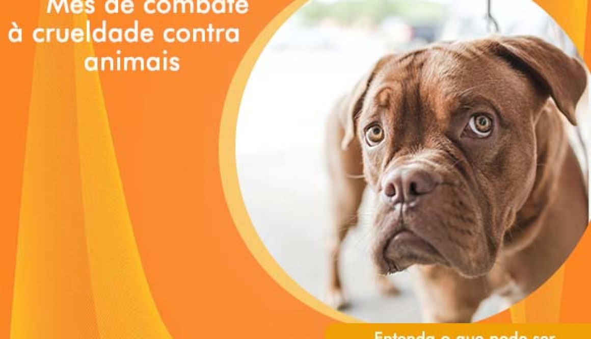 abril laranja contra maus-tratos 1...