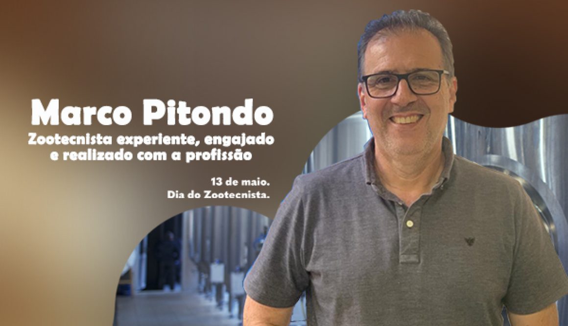 card Marco pitondo