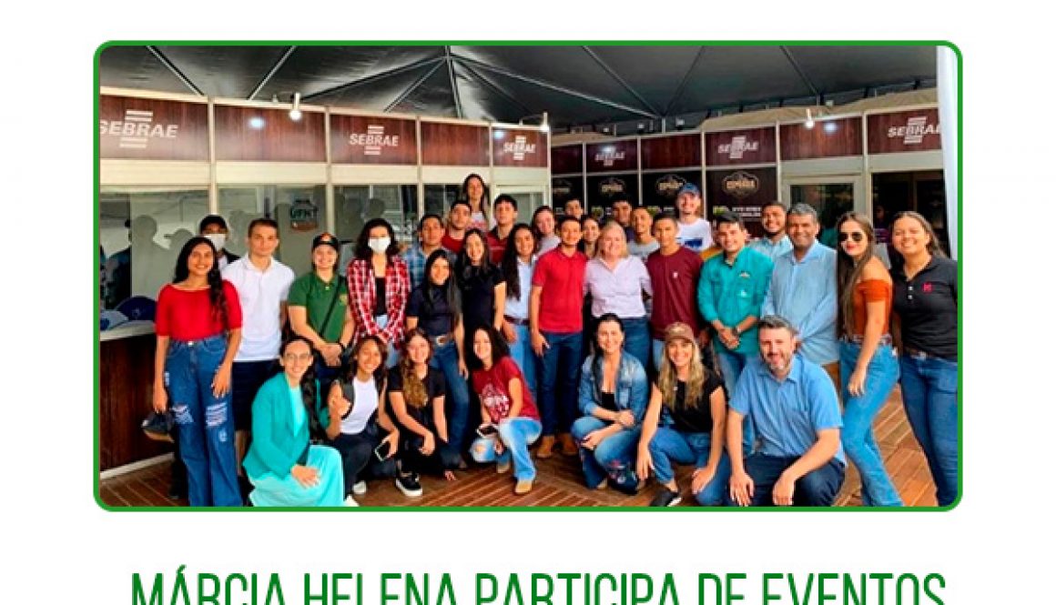 CRMV Tocantins participa de treinamento de fiscais -