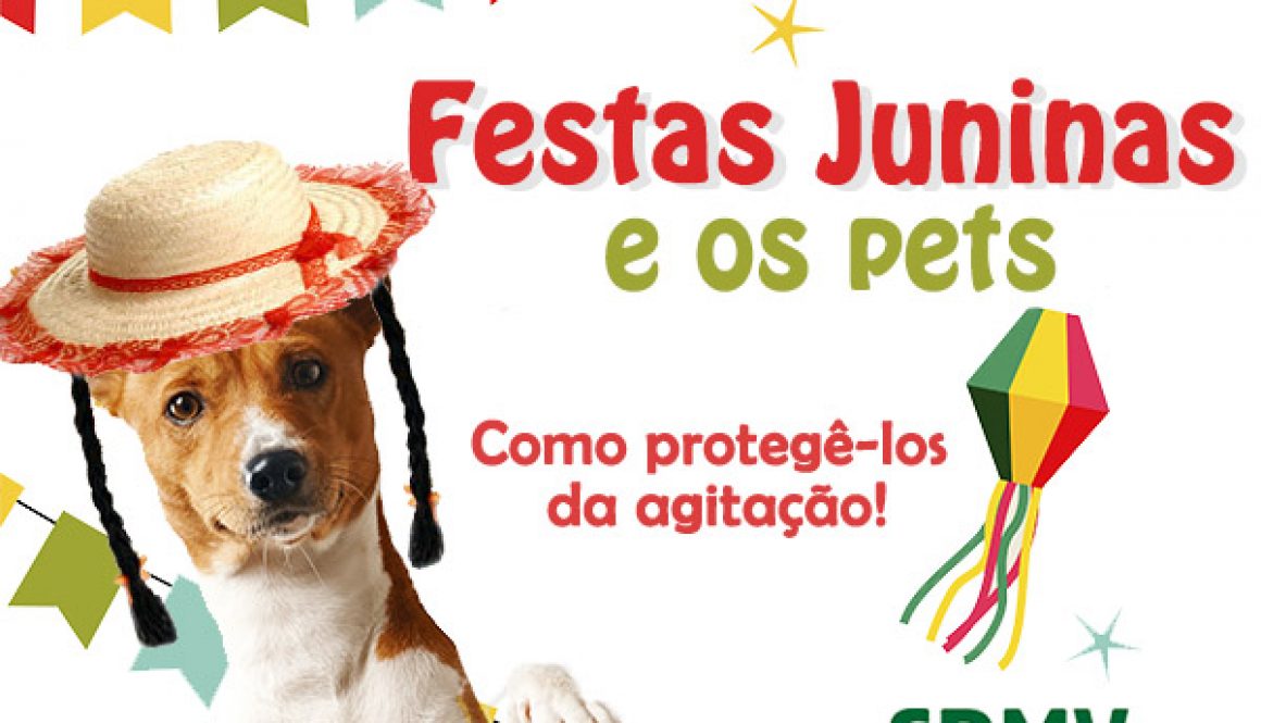 festas juninas e os pets - como protege-los