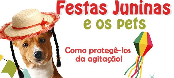 festas juninas e os pets - como protege-los