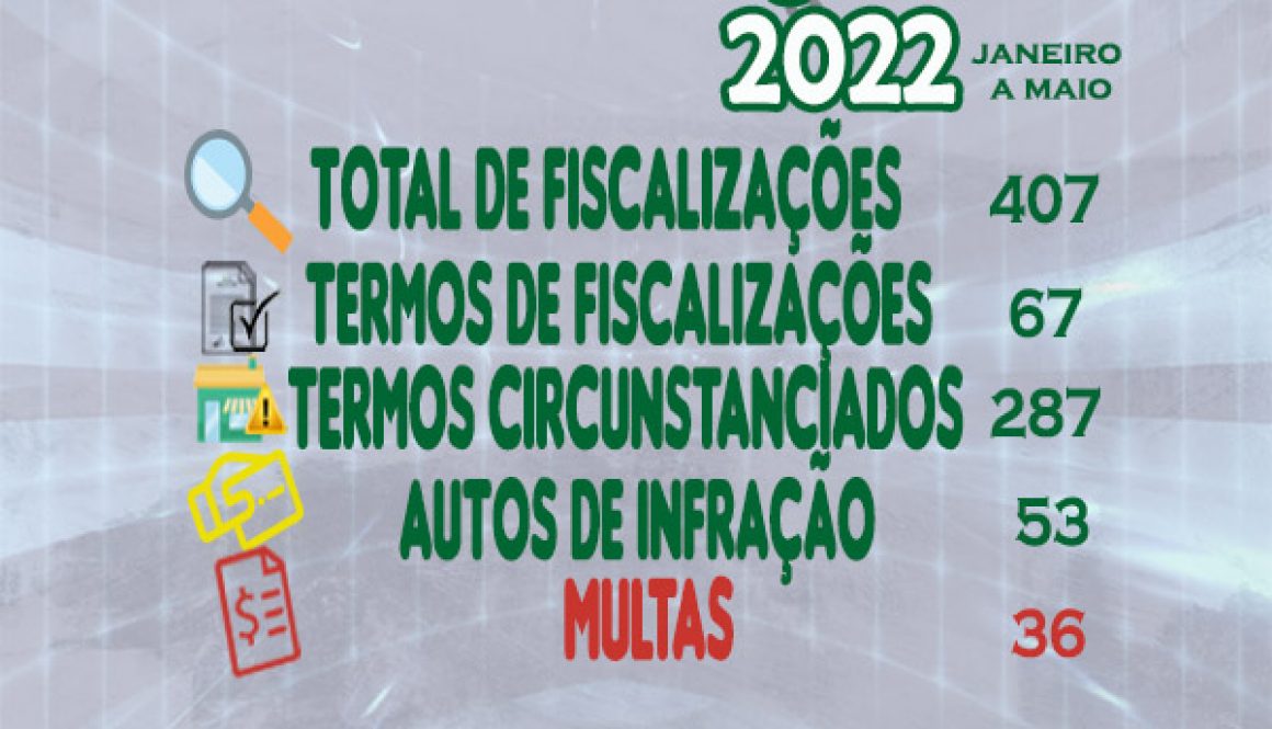 fiscalizações 2022