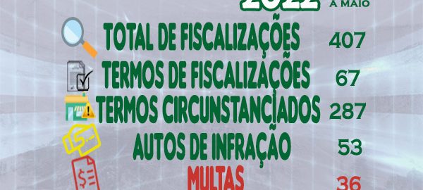 fiscalizações 2022