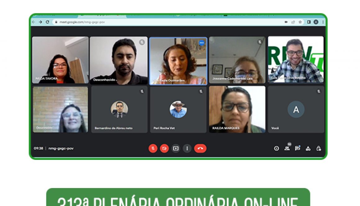 plenária 313 setembro