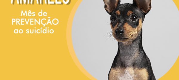 setembro amarelo e os animais - prevenção ao suicídio