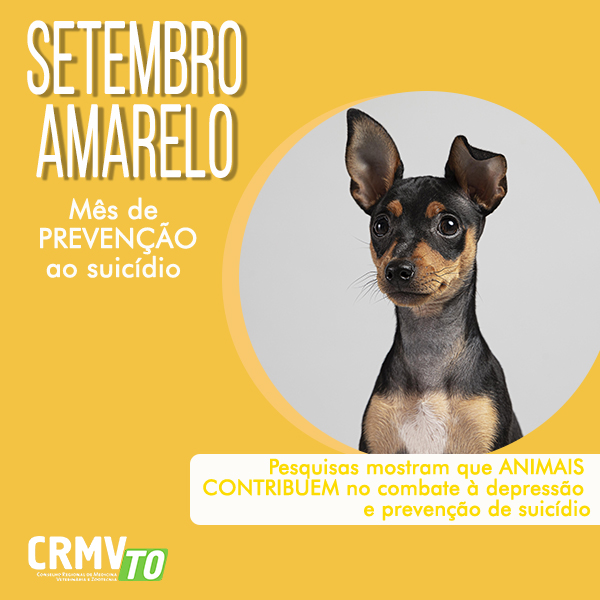 setembro amarelo e os animais - prevenção ao suicídio