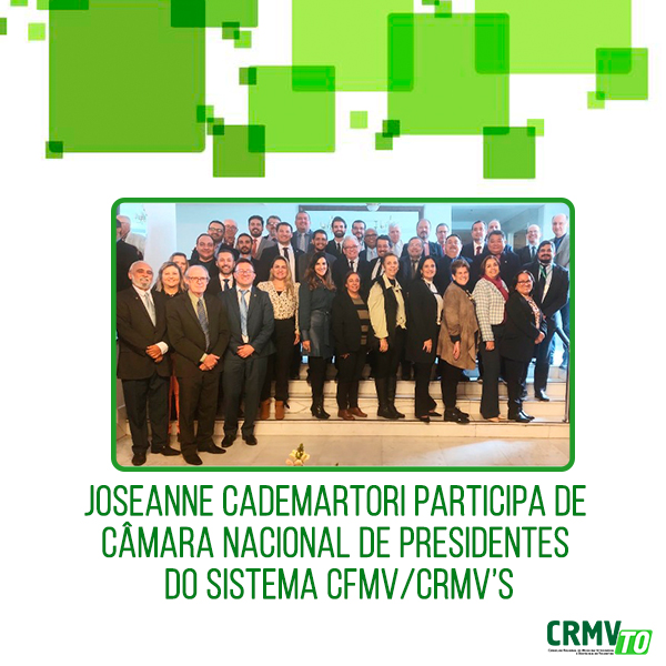 Joseanne participa de CNP em Porto Alegre copiar