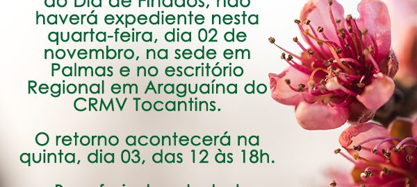 comunicado dia de finados copiar
