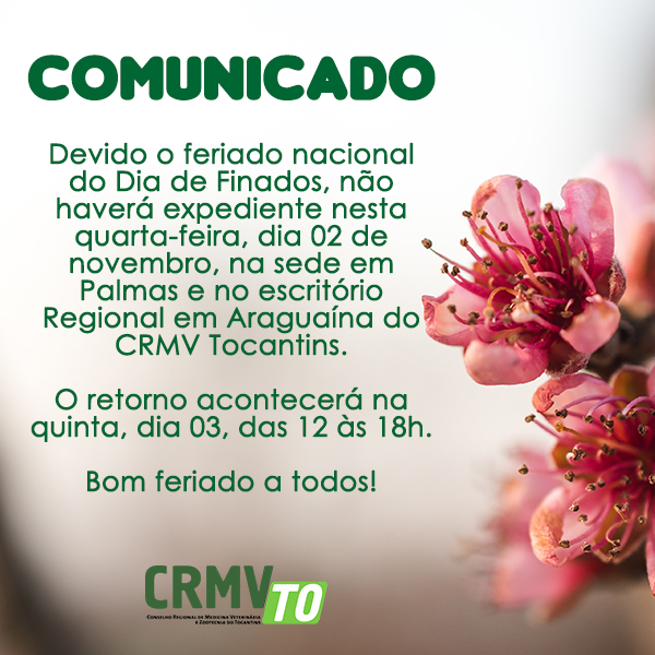 Atendimento suspenso no feriado de Finados – CRMV-TO Atendimento suspenso no feriado de Finados – CRMV-TO