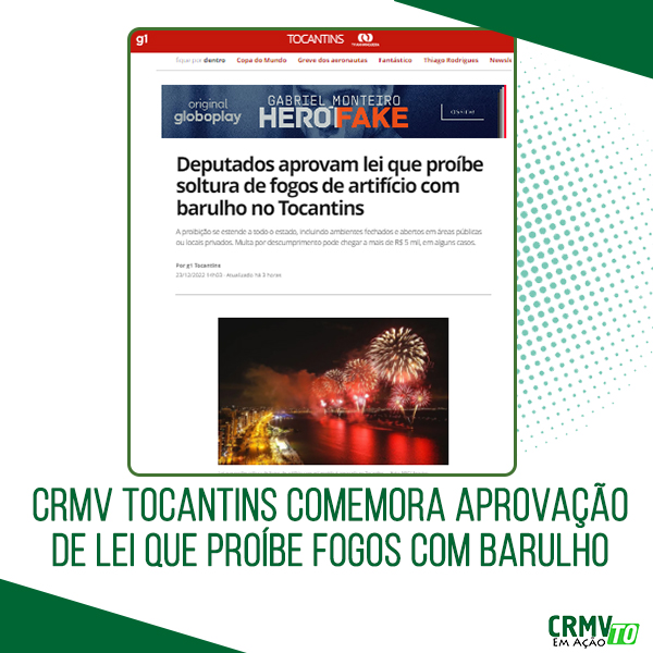 deputados aprovam lei que proibe fogos com barulho no Tocantins copiar