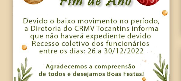 recesso de fim de ano copiar