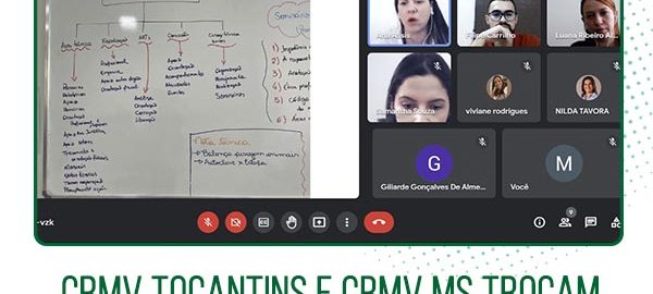 treinamentos copiar